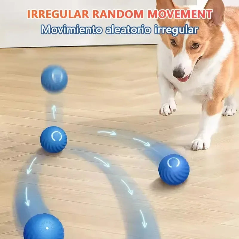 Interactive Rechargable Ball